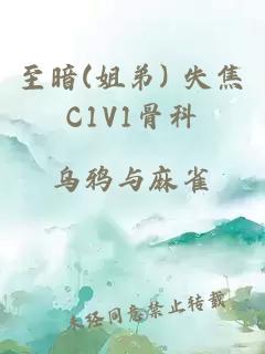 至暗(姐弟) 失焦C1V1骨科