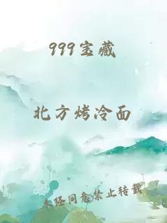 999宝藏