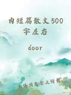 肉短篇散文500字左右