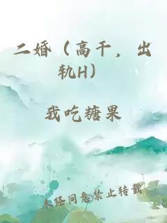 二婚（高干，出轨H）