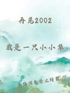 再见2002