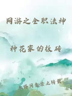 网游之全职法神