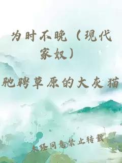 为时不晚（现代家奴）